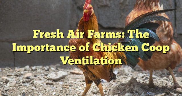 Fresh Air Farms: The Importance of Chicken Coop Ventilation 